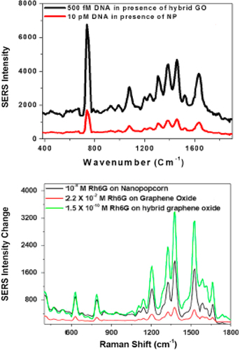 Figure 9. Top: SERS spectra of the partial sequence of the HIV-1 gag gene, in the presence of the popcorn-shaped nanoparticle and hybrid graphene oxide. Bottom: Plot showing SERS enhancement of the Raman signal at 785 nm excitation from Rh6G, in the presence of graphene oxide, gold nanopopcorn, and a nanopopcorn-attached graphene oxide hybrid (by permission from American Chemical Society, CitationFan et al. 2013).
