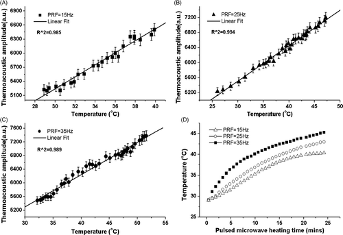 Figure 4. (A, B and C) Dependence of the thermoacoustic pressure on the temperature, which shows goodness fit for linear regression. The test sample was freshly excised pork liver. The PRF is 15 Hz, 25 Hz, 35 Hz, respectively. R2, goodness of fit. (D) Relationship between the rise of temperatures in ex vivo tissue and the pulse repetition frequency. The average power corresponding to the used PRF is 2.7 W, 4.5 W and 6.3 W respectively.