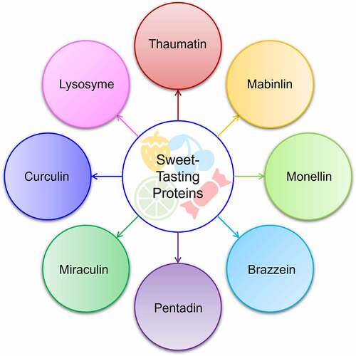 Figure 1. Illustration of sweet-tasting proteins, regardless of their extraction origin, source, and types.