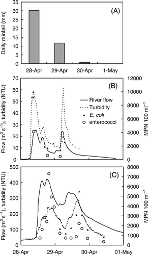 Figure 2  Rainfall and river water conditions over the rain event surveyed. A, Daily rainfall accumulation at Tapawera. B, River flows, turbidity and faecal indicator bacteria in the Sherry River during the event. C, River flows, turbidity and faecal indicator bacteria in the Motueka River at Woodmans Bend.
