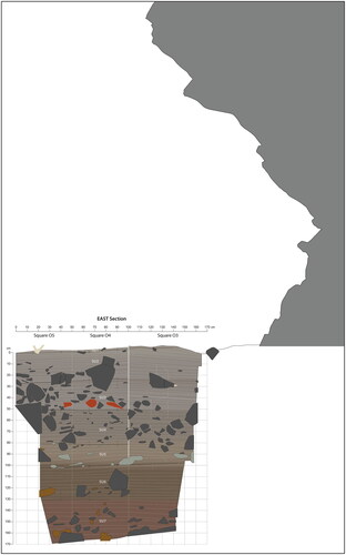 Figure 11. South–north transect from back wall across the main pit (squares O3–O5), showing the position of the overhang above the pit at Millukmungee 1. See Figure 12 for details of the excavated section (figure by Bruno David).