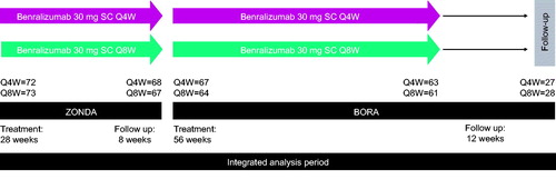 Figure 1. Benralizumab 1.5-year integrated analysis study design. Q4W, every 4 weeks; Q8W, every 8 weeks (first three doses Q4W); SC, subcutaneously.