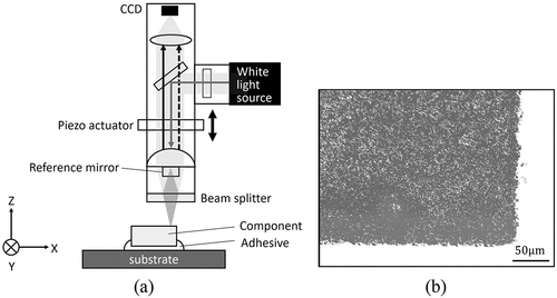 Figure 8. Measuring method for displacements of the glass component. (a) Measurement system for displacements for the glass component, (b) Image acquired using coherence-scanning interferometry.