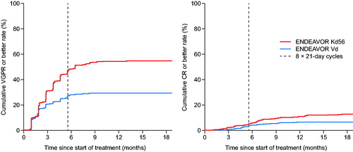 Figure 4. Cumulative rates of patients with a complete response or better or with a very good partial response or better with Kd56 and Vd in ENDEAVOR. Cumulative rate of CR or better or VGPR or better was assessed from the start of treatment in the safety population by an independent review committee (Kd: n = 463; Vd: n = 456). The time at which treatment for Vd eight cycles would be discontinued (i.e. at 8 × 21-day cycles) is indicated by a dashed line. CR: complete response; Kd56: carfilzomib and dexamethasone; Vd: bortezomib and dexamethasone arm; VGPR: very good partial response.