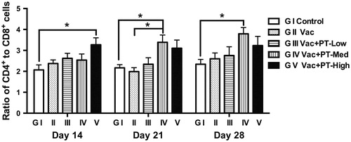 Figure 5. Ratio of CD4+ and CD8+ T lymphocytes. Lymphocytes were prepared from peripheral blood samples on Day 14, 21 and 28, respectively. Cells were stimulated with formalin-inactivated NDV (1 MOI) for 24 h. The ratio of CD4+ to CD8+ T cells was determined by flow cytometry analysis. Data are expressed as means and SEM (n = 6/group; *p < .05).