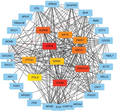 Figure 3 Protein–protein interaction networks.Notes: Upexpression genes were analyzed and constructed a network. Red nodes: first-level hub genes; orange nodes: second-level hub genes; yellow nodes: third-level hub genes.