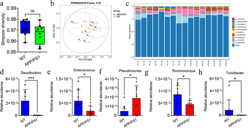 Figure 3. The difference of gut microbiota between APP/PS1 and WT mice.