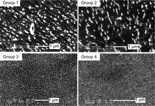 Figure 1 SEM images of the surface morphologies of the four groups: mechanically polished titanium sheet (group 1), acid-etched titanium sheet (group 2), TiO2 nanotube arrays anodized at 20 V (group 3), and TiO2 nanotube arrays anodized at 10 V (group 4).Abbreviations: SEM, scanning electron microscopy; TiO2, titanium oxide.