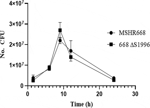 Figure 5. Gentamicin protection assay in RAW264.7 cells. The cells were infected at a multiplicity of infection of ~10 with B. pseudomallei MSHR668 and 668 ∆S1996. At 1.5, 6, 9, 12, and 24 hours post-infection, the RAW264.7 cells were lysed and intracellular bacterial numbers were quantitated by spreading serial dilutions of the lysates on LB plates and incubating at 37◦C for 24–48 hours. The experiment was performed in triplicate and the numerical values represent the mean ± the standard deviation.