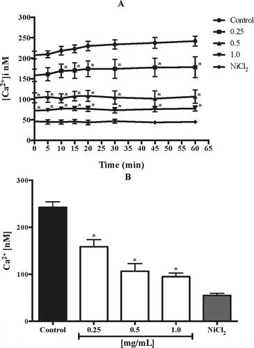Figure 4. Effect of aqueous crude extract of Echeveria gibbiflora (OBACE) on Ca2+ influx of mouse sperm. Graph shows the effect of different concentrations of OBACE (0.25, 0.5, and 1 mg/mL) on mice sperm calcium efflux after 60 minutes of incubation under capacitating conditions. Changes in the calcium efflux was monitored during 60 minutes, displaying a concentration dependent manner effect (A), were a decrease of intracellular calcium was observed and it was more evident as the concentration of OBACE was rising. After 60 minutes of recording we can notice a clear significant difference between the control sample and the different concentrations (B). NiCl2 was used as the negative control. Values are expressed as mean ± SEM (n = 3). p < 0.0002. Data analysis was performed using Dunnett’s multiple comparison test, p < 0.05. *means significant difference.