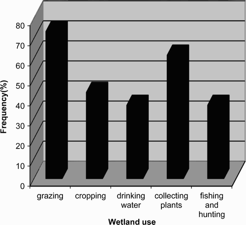 Figure 2: Main uses of the Lukanga wetlands