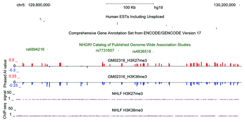 Figure 6. Allelic-chromatin suggests allelic transcription in an unannotated region overlapping GWAS SNPs Example of H3K27me3 and H3K36me3 allelic-chromatin suggestive of transcription in intergenic region of genome on chromosome 5 in UCSC genome browser for GM02316. Red and blue bars correspond to phased AI in opposite directions. Tracks above show all human ESTs in the region, a lack of any annotation in GENCODE V17 Comprehensive annotation and 3 GWAS SNPs, in the GWAS catalog. Below are ChIP-seq tracks from ENCODE showing low signal for H3K27me3 and H3K36me3 in NHLF (Normal Human Lung Fibroblast).