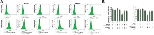 Figure 7 MiR-138 promoted generation of ROS in oxaliplatin-treated HT29/R and SW480/R cells. (A) MiR-138 enhanced the effect of oxaliplatin (10 μM) on producing the ROS in HT29/R and SW480/R cells. (B) NAC (2 mM) decreased the sensitization of miR-138 on oxaliplatin-induced (10 μM) cytotoxicity against HT29/R and SW480/R cells.Notes: Data were expressed as mean±SD. #P<0.05 vs oxaliplatin+NCO group, &P<0.05 vs oxaliplatin+miR-138 group.Abbreviations: NCO, negative control oligonucleotides; ROS, reactive oxygen species; NAC, N-acetylcysteine.