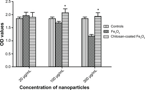 Figure 11 Cell viability of SV40 osteoblasts incubated with different concentrations of nanoparticles after 3 days.Notes: Data are shown as the mean ± standard error of the mean (n = 4). *P < 0.05 compared with the Fe3O4 group.