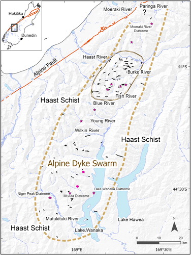 Figure 1. Locality map showing extent of Alpine Dyke Swarm and locations of those intrusions that are logged in the GNS QMAP database. Dykes and sills in black, diatremes in red. Boundaries of the proposed magma chamber underlying the Haast River area are based on the distribution of evolved magmas (phonolites and carbonatites). Red asterisks mark localities of Cr-diopside series, mantle xenolith-bearing lamprophyres, with data from Wallace (Citation1975), Cook (Citation1984), Cox (Citation1984), Brodie (Citation1985), Briggs (Citation2011), and Cooper and Scott (pers. observation) (colour online).