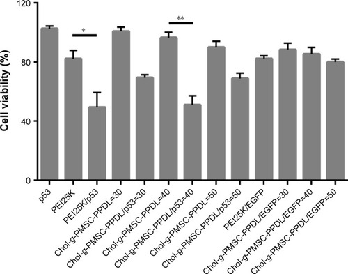 Figure 4 The cell viability assay after PEI25K- and Chol-g-PMSC-PPDL-mediated p53 transfection for 48 hours. The mass ratio of PEI25K/plasmid was 1.33. Data are presented as mean value ± SD of triplicate experiments. *P<0.05; **P<0.01.Abbreviation: PEI25K, poly(ethylenimine) with a weight-average molecular weight of 25,000 g/mol.