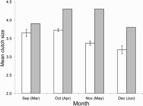 Figure 1. Mean monthly clutch size of Song Thrushes over the breeding season for Kowhai Bush (unshaded bars ± se) and a British population (shaded bars; means from Cramp Citation1988).