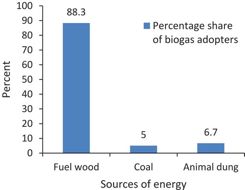 Figure 6. Main source of energy before biogas adoption.