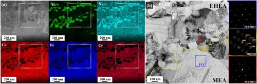 Figure 3. (a) TEM micrographs of the interface of the MEA and EHEA domains with the corresponding EDS maps and (b) HRTEM images with the FFT patterns of FCC and B2 phases in A715.