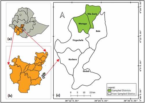 Figure 1. Map of the study area: (a) map of Ethiopia, (b) map of SNNPR, (c) map of Gedeo zone.