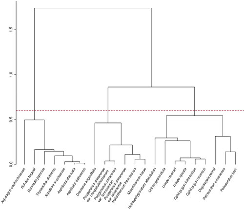 Figure 1. Hierarchical clustering dendrogram of Asparagaceae species from Taiwan. The analysis was based on Gower's distance and employed Ward's linkage method. The red dashed line at 0.6 represents a suggested threshold for three clusters' division.