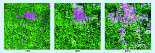 Figure 3.  Time series of Landsat imagery at 30 m × 30 m resolution (TM in 1990, ETM+ in 2000, TM in 2005) over a 20 km × 20 km size sample unit in South America.ETM+ Enhanced thermic mapper; TM: Thermic mapper.