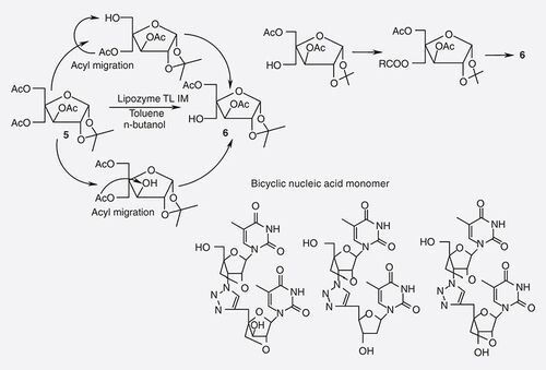 Figure 4. Biocatalytic selective acylation of hydroxyl group.
