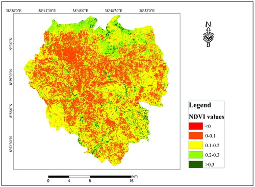 Figure 7. NDVI map of the study area.“Source: Author’s own conception.”