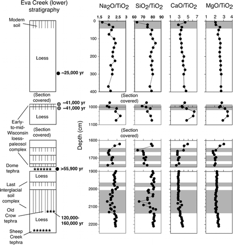 FIGURE 3 Loess stratigraphy, radiocarbon ages, and possible correlations at the Eva Creek (lower) section. Stratigraphy of the section from 1900 to 2200 cm is generalized from CitationMuhs et al. (2001a). Gray shades mark paleosols. Fission-track age estimate for the Old Crow tephra is from CitationWestgate et al. (1990). Black-filled circles are approximate calibrated radiocarbon ages of charcoal or macrofossils; gray-filled circles are approximate calibrated radiocarbon ages of humic acid extractions from paleosols (see text for discussion). Also shown are plots of Na2O/TiO2, and SiO2/TiO2, CaO/TiO2, and MgO/TiO2 in the section.