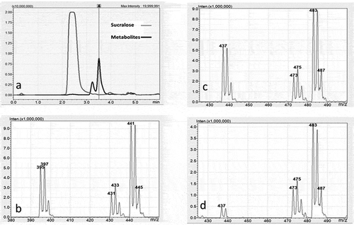 Figure 3. a) UHPLC/MS Chromatogram of a fecal sample extracted with ethyl acetate showing the retention times (horizontal axis) and absorbance (vertical axis) for sucralose at 2.4 minutes and two metabolites. Metabolite 1 elutes at 3.2 minutes and metabolite 2 at 3.5 minutes. b) The negative ion mass spectrum of the molecular ion region for sucralose showing mass to charge (m/z) ratio (horizontal axis) and relative abundance (vertical axis). The 3-chlorine isotope pattern is observed for sucralose (m/z 395/397/399) and for the typical electrospray negative ion adducts of chloride (m/z 431/433/435) and formate (m/z 441/443/445). c) The negative ion mass spectrum of the molecular ion region for metabolite 2. The 3-chlorine isotope pattern is observed for metabolite 2 (m/z 437/439/441) and for the typical electrospray negative ion adducts of chloride (m/z 473/475/477) and formate (m/z 483/485/487). d) The negative ion mass spectrum of the molecular ion region for metabolite 1. The 3-chlorine isotope pattern is observed for metabolite 1 (m/z 437/439) and for the typical electrospray negative ion adducts of chloride (m/z 473/475/477) and formate (m/z 483/485/487).