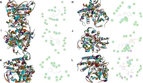 Figure 2 Binding modes of main active ginger components to human CYP1A2 (PDB code 2HI4).