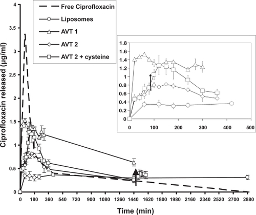 Figure 4 Pharmacokinetic data for the different formulations tested in rabbits. Arrows indicate time points when cysteine was instilled into the lungs. Inset–detail of the first 500 minutes for the liposomes, AVT 1, AVT 2, and AVT 2 + cysteine (n = 1 for the free ciprofloxacin study. And n = 3 for the other studies). Study with liposomes and free ciprofloxacin was done over 2 days. The AVT studies were done over 1 day. AVT 2 + Cysteine treatment resulted in blood levels of ciprofloxacin different from AVT 2 treatment alone (p < 0.05).