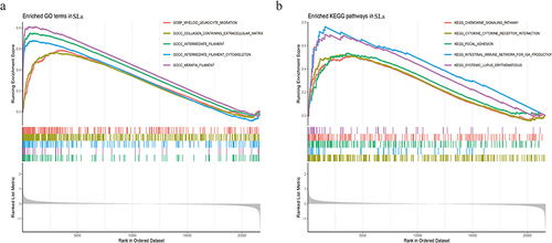 Figure 3 Gene set enrichment analysis (GSEA). (a) Top 5 significantly enriched GO terms in SLs. (b) TOP 5 significantly enriched KEGG pathways in SLs.
