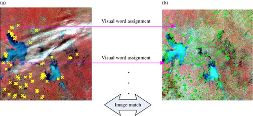 Figure 4. Visual word assignment process of our approach. (a) Target image, (b) base image (reference image).