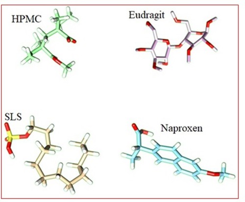 Figure 2 Minimized structures of polymers, surfactants, and NP.