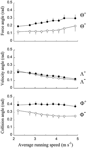 Figure 2 Average deviation of F from the vertical (Θ), average deviation of V from the horizontal (Λ) and average collision angle (ϕ), during the absorptive (white symbols) and generative (black symbols) phases.