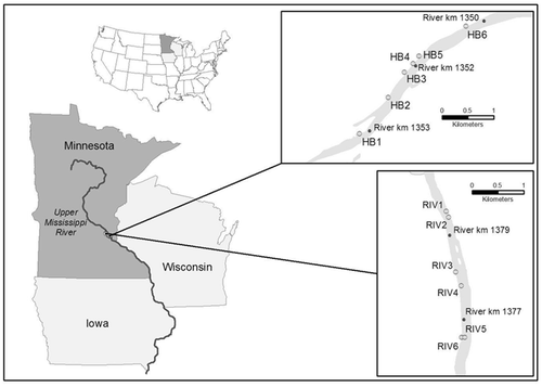 Figure 1. Map of the study area in relation to the Upper Mississippi River, and illustrating sample stations at the HB and RIV Generating Stations, 2007–2009.