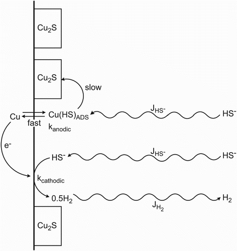 Figure 1. Overall reaction scheme for the corrosion of copper in sulphide solutions. The two interfacial reactions involve the anodic formation of Cu2S supported by the cathodic reduction of HS−. Both anodic and cathodic reactions may be limited by the rates of the respective interfacial (kinetic control) or mass-transport steps (transport control), the latter denoted by the wavy lines and the notation J for the flux of reactants or products.