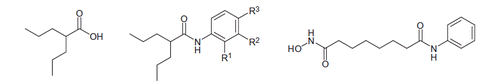 Scheme 1. Design of VPA-aryl derivatives (center) by mixing valproic acid (VPA; left) with the arylamine core of the suberoylanilide hydroxamic acid (SAHA) with different substituents (right).