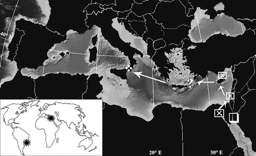 Figure 5. Possible pathway of Syllis hyllebergi thorough the Suez Canal and the Levantine Sea as far as the Messina Strait, and its actual world distribution (small right pane). Empty square: origin locality, El Kura Lagoon, Dahab (Gulf of Aqaba).