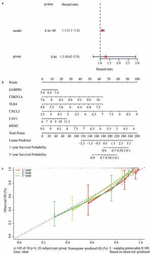 Figure 5. Construction of a nomogram for predicting the 1-, 2- and 3-year graft loss. (a) Univariate Cox regression analysis showed the contribution of each variable to the graft loss. (b) A nomogram for predicting 1-,2-and 3- graft loss. (c) The calibration plot presented the probability for predicting the 1-, 2- and 3- graft loss