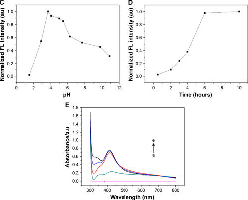 Figure S1 Optimal synthetic conditions of PEI-AgNCs. Normalized FL intensity of PEI-AgNCs at different (A) [PEI]/[AgNO3] ratios, (B) concentrations of AA, (C) pH, (D) stirring time under UV light, and (E) UV-vis absorption spectrum of PEI-AgNCs with the extension of stirring time (a→e, respectively, represent 0, 2, 4, 6, and 8 hours).Abbreviations: PEI-AgNCs, polyethyleneimine-capped silver nanoclusters; FL, fluorescence; AA, ascorbic acid; UV, ultraviolet.