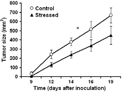 Figure 5.  Ten-week-old mice were inoculated subcutaneously with 1 × 105 38C-13 B-cells. The next day, 50% of the mice underwent electric shock, followed by three reminders. Stress conditioning decreased primary subcutaneous tumor growth. **Denotes significant differences between groups; P < 0.05 (ANOVA with repeated measures; n = 9). Values are expressed as mean ± SEM.