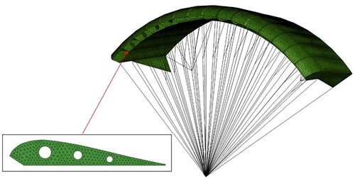 Figure 5. Initial mesh model of parafoil.