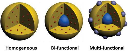 Figure 4. Multifunctional nanoparticles with complex architectures. Adapted from 32 with permission from Springer.