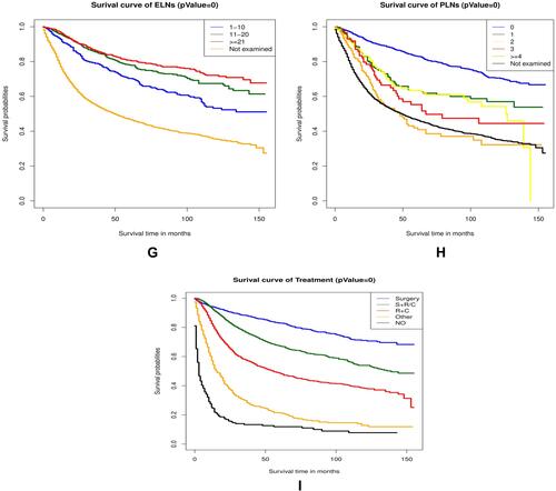 Figure 5 The Kaplan-Meier survival curves in the training cohort are shown in (A–I). The results demonstrated that patients with age under 70 (A), non-black race (B), well-differentiated grade (C), squamous cell carcinoma and adenocarcinoma (D), early FIGO stage (E), small tumor size (F), more ELNs (G), negative lymph node (H), and receiving treatment (I) had better survival time (P=0).