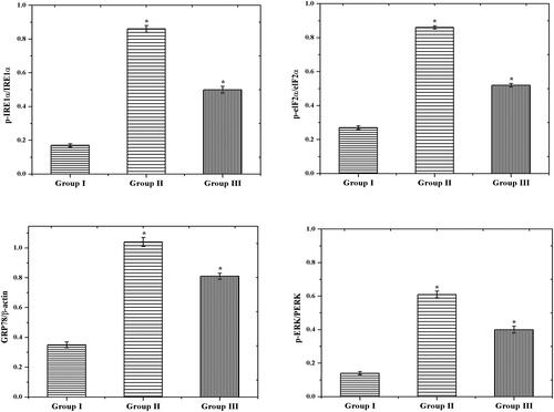 Figure 10. The protein expression of endoplasmic reticulum stress-related factors (GRP78, p-IRE1α, and p-eIF2α) by western blot method.