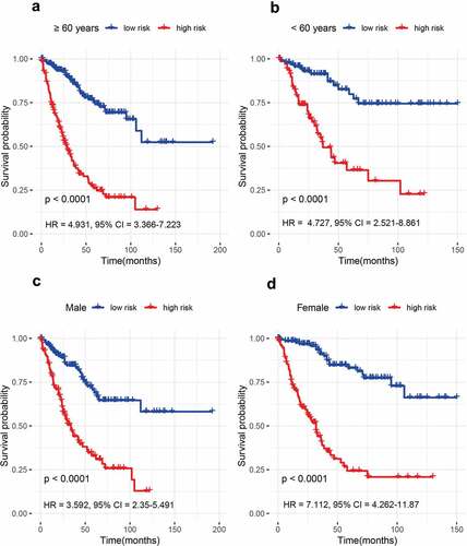 Figure 2. The prognosis of the 15-gene signature for advanced colorectal cancer (CRC) based on age and gender. (a) ≥ 60 years; (b) < 60 years; (c) Male patients; (d) Female patients