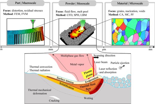 Figure 3. Different scales of study in modelling MAM processes (top) and the fundamental physical phenomena occurring in and around the melt pool region at the scale of the powder (bottom).