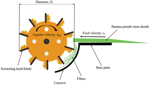 Figure 4. Working principle of banana pseudo-stem fiber-extracting raspador (cylinder).